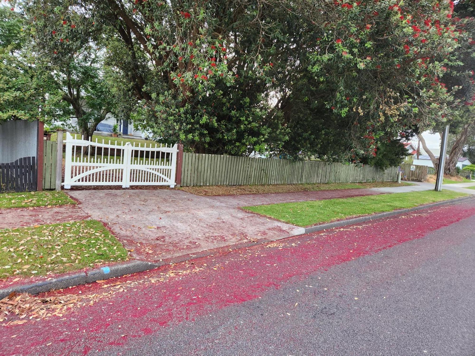 Quirky Villa Homestay Whanganui Luaran gambar